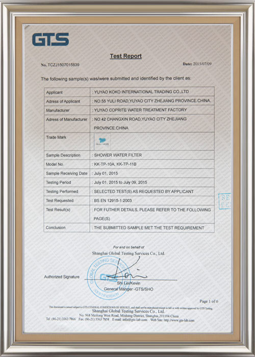 certificate-GTS